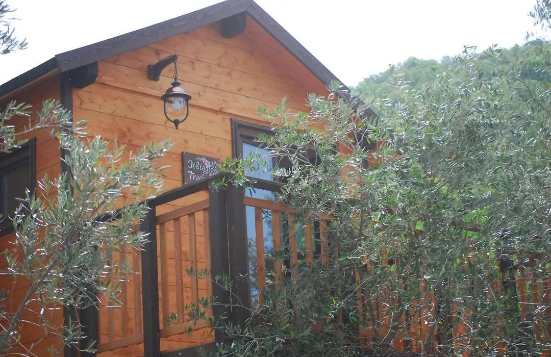 Palazzo Conforti Tree House Resort-1