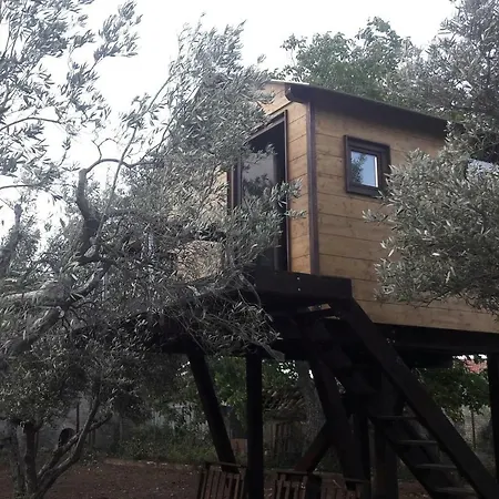 Palazzo Conforti Tree House Resort-2